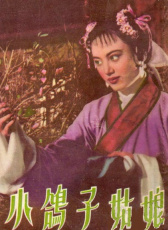 小鴿子姑娘