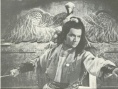 冷血十三鹰