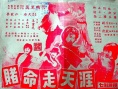 赌命走天涯
