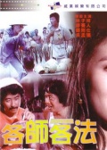 各师各法