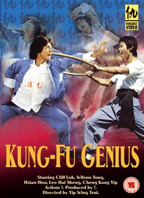 功夫天才