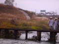 在路上