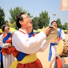 跳舞樹(shù)林
