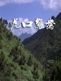 虎口鸳鸯