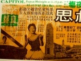 南岛相思