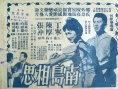 南岛相思