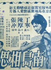 南岛相思