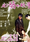 心兰的故事