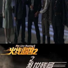 火線追兇2之亂世殘局