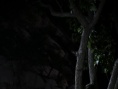 詭魘