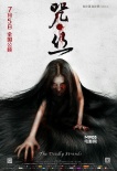 《咒丝》再曝客串剧照 名导大腕共演绎当代惊悚