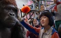 151期：刘诗诗一人“踩四船” 徐娇打造棒球明猩