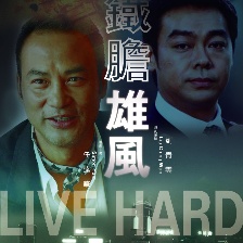 鐵膽雄風(fēng)