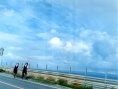 藍(lán)色大海