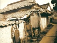 金子美铃