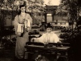 红楼梦