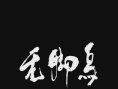 無腳鳥