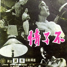 不了情