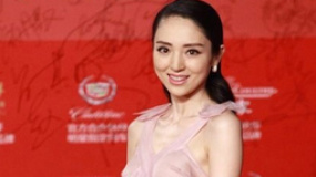 董璇粉嫩長(zhǎng)裙顯高挑 笑靨如花踏紅毯光彩照人