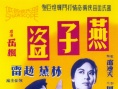 燕子盗