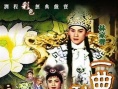 一曲琵琶动汉皇