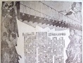 仙鶴神針 大結(jié)局