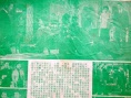 情天未老