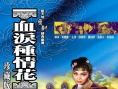 血淚種情花