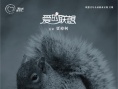 科學(xué)松鼠會(huì)