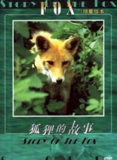 狐貍的故事