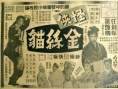怪俠金絲貓