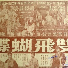 雙飛蝴蝶