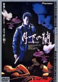 月下之蘭