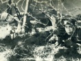 董存瑞