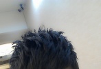 模特<strong>【<a target="_blank" href="http://d.m1905.com/space/8717535">點擊查看選手更多資料</a>】【<a target="_blank" href="http://t4.m1905.com/space/user/id/8717535">為他投票</a>】</strong>