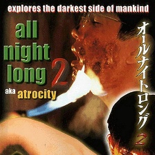 風(fēng)騷俏佳人2