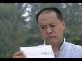 警至情归
