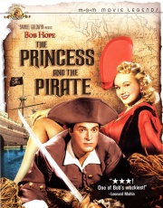 公主与海盗