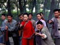 女將軍李貞浴血瀏陽(yáng)河