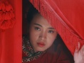 女將軍李貞浴血瀏陽(yáng)河