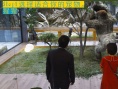 萌宠领养指南：从大明猩到理查德·帕克一一收服
