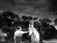 拿破侖情史