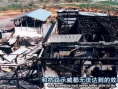 如果樹倒下：一個(gè)地球解放陣線的故事