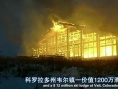 如果樹倒下：一個(gè)地球解放陣線的故事