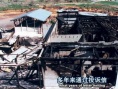 如果樹倒下：一個(gè)地球解放陣線的故事