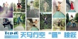 《变4》Top40上演“星跳跃” 优美身姿令人惊艳