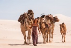 米娅·华希科沃斯卡牵骆驼沙漠漫步。