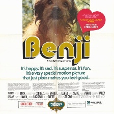 狗偵探