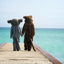 動物項目