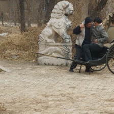 不再沉睡